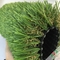 PE моноволокна + поверхность курчавой травы PP 12400Dtex на открытом воздухе искусственной пухлая поставщик